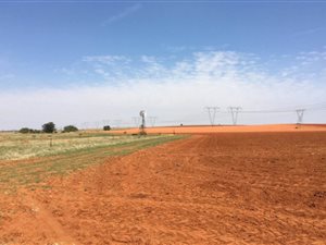 Farm in Dealesville