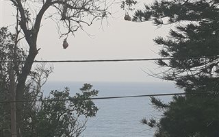 3 Bedroom House in Bluff