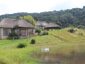 25 ha Farm in Balgowan