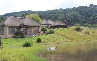 25 ha Farm in Balgowan