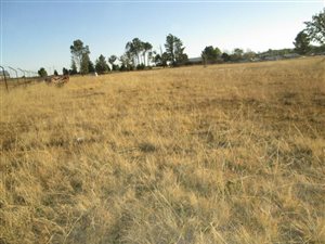 9952 m² Land available in Clocolan