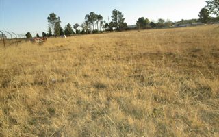 9952 m² Land available in Clocolan