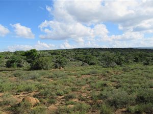 505 ha Farm in Grahamstown