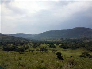 332.6 ha Farm in Lydenburg