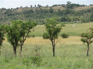 8 ha Land available in Donkerhoek