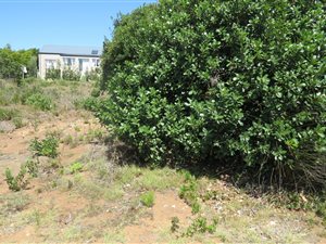 704 m² Land available in Stilbaai