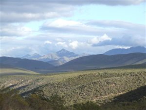 27.7 ha Land available in Joubertina