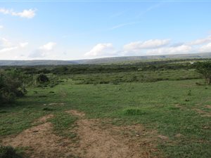 5 ha Land available in Riebeeck East