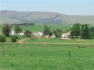 558 ha Farm in Mooi River