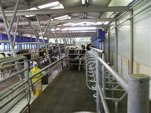 558 ha Farm in Mooi River