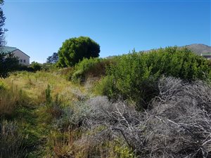 1533 m² Land available in Pringle Bay