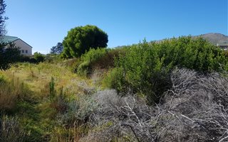 1533 m² Land available in Pringle Bay