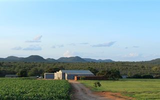 27 ha Land available in Malelane