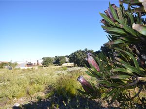 1301 m² Land available in Bettys Bay