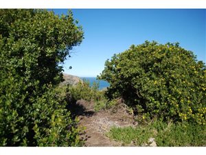 1015 m² Land available in Pezula Golf Estate