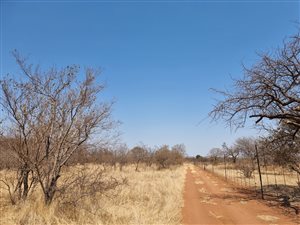 11 ha Farm in Dendron