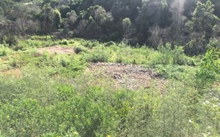 1780 m² Land available in Knysna Heights