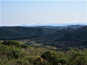 19 ha Farm in Plettenberg Bay