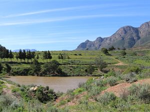 16 ha Farm in Wolseley