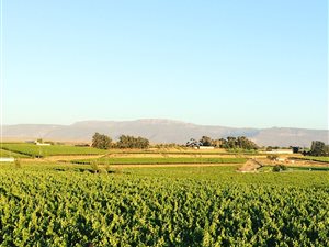 11.2 ha Farm in Vredendal