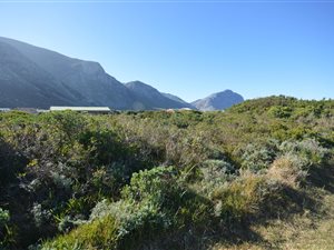 1026 m² Land available in Bettys Bay