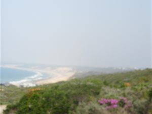 1032 m² Land available in Dana Bay