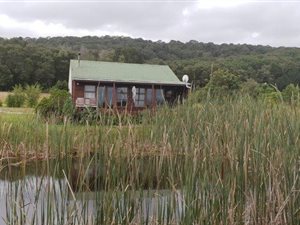 1.1 ha Farm in Rheenendal