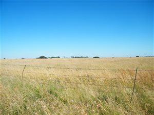 21 ha Farm in Klerksdorp