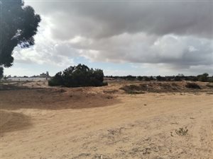 7.2 ha Farm in Vredenburg