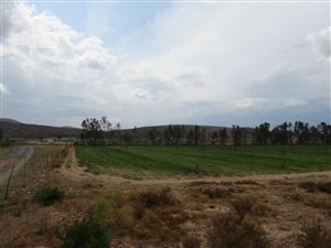 34 ha Farm in Touws Rivier