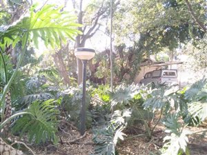 3 Bed House in Silverton
