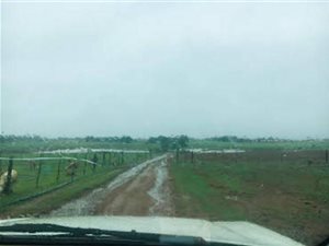 11 ha Farm in Onderstepoort