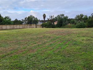 2641 m² Land available in Heidelberg