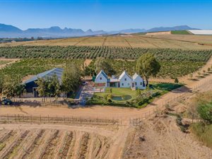 25.1 ha Farm in Wellington Central