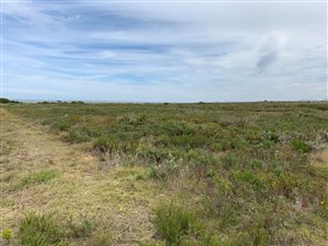 1717 m² Land available in Jeffreys Bay
