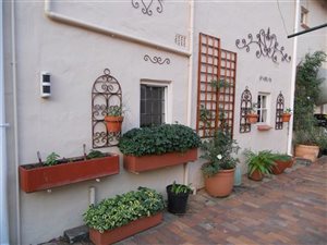 1 Bed Garden Cottage in Groenkloof