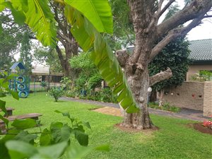 1 Bed Flat in Bela-Bela (Warmbaths)