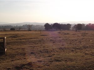 2.8 ha Farm in Rietfontein