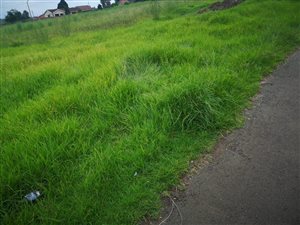 600 m² Land available in Howick West