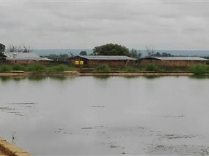 24.4 ha Farm in Hartswater