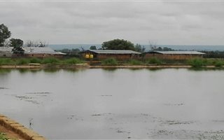 24.4 ha Farm in Hartswater