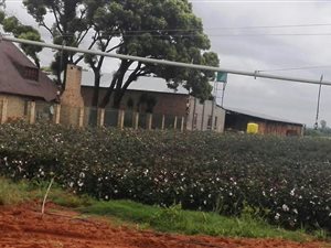 24.4 ha Farm in Hartswater