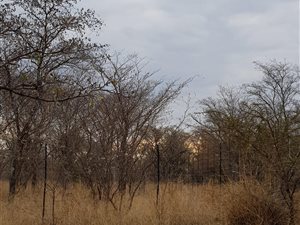 17.1 ha Farm in Rooiberg