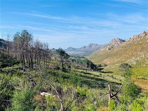260 ha Farm in George Central