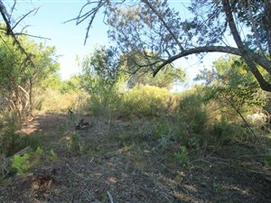 6273 m² Land available in Eastford