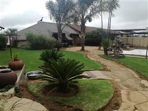 Farm in Middelvlei
