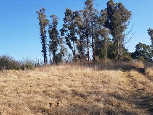 1356 m² Land available in Mooi River