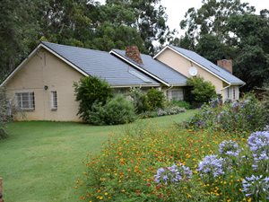 142 ha Farm in Springs Central