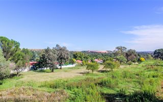 8308 m² Land available in Ormonde
