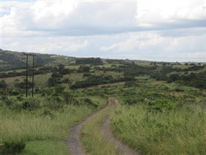 69 ha Farm in Beacon Bay